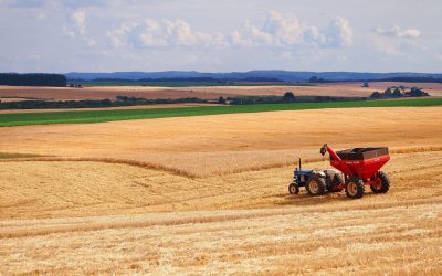 L&rsquo;agriculture du futur: à quoi ressembleront nos fermes en 2050 ?