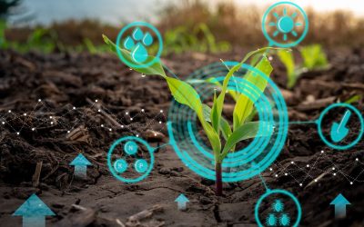 L&rsquo;éveil des plantes : Études récentes et innovations technologiques