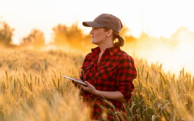 Révolution sourde : Comment les agriculteurs font face aux menaces des insectes mutants