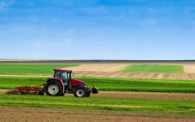 Révolution Verte 2.0 : L&rsquo;IA au coeur de l&rsquo;agriculture de demain