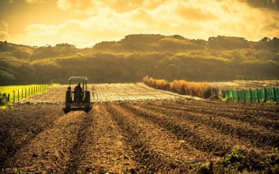 Agriculture du Futur : Robotique et IA dans les Champs