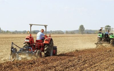 Les Pyramides Agricoles : Cultiver dans des Bâtiments-Énigmes