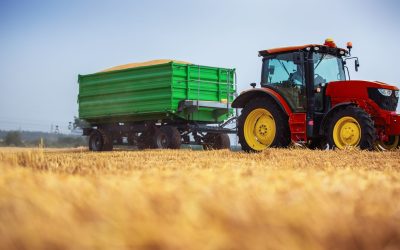 Les secrets déroutants de votre assiette : Que cachent les techniques agricoles modernes ?