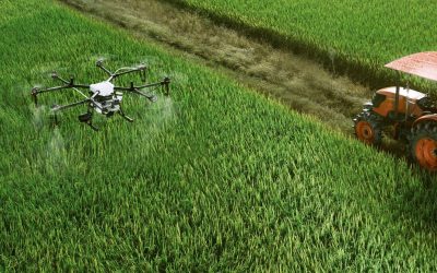 Les Merveilles Ignorées de l’Agriculture Urbaine: Révolution Alimentaire en Marche